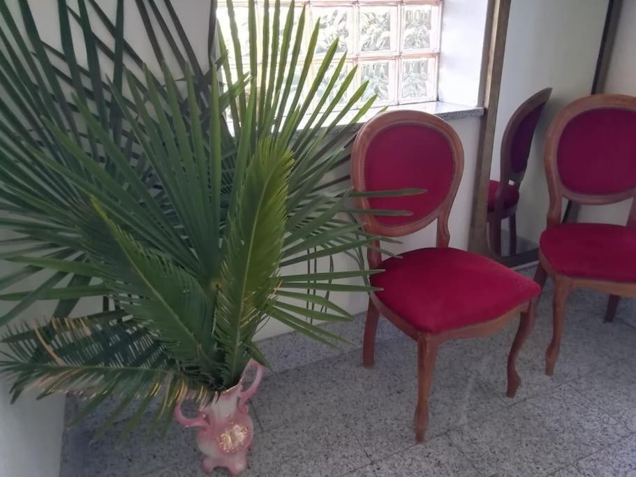 Un Bell Incontro Apartment Borgo Ticino Bagian luar foto
