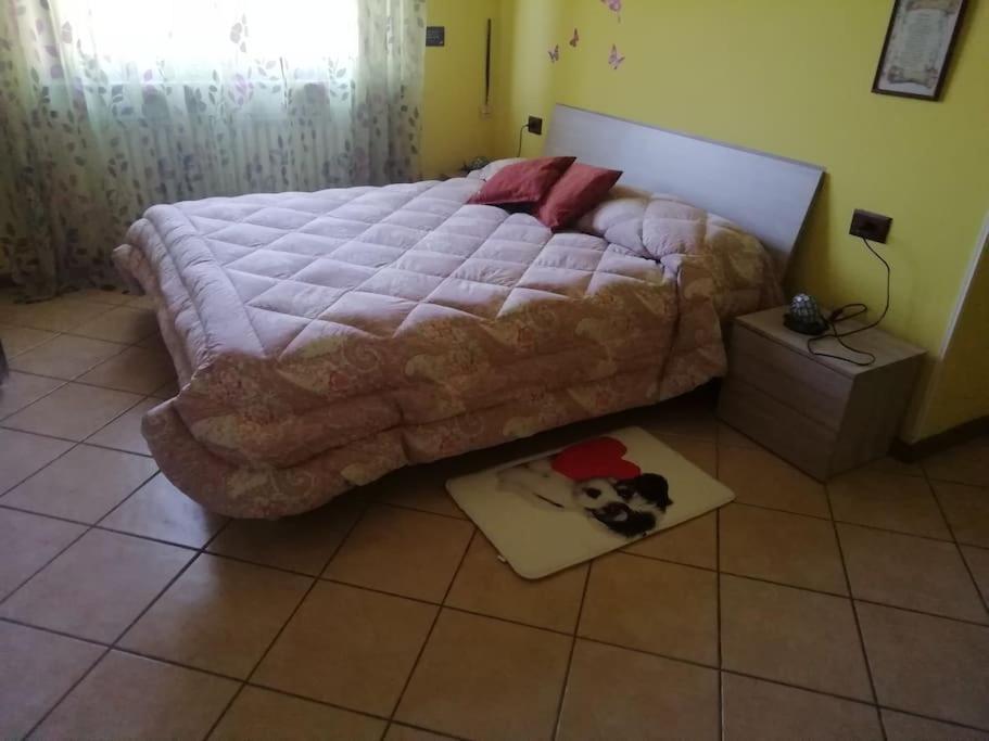 Un Bell Incontro Apartment Borgo Ticino Bagian luar foto