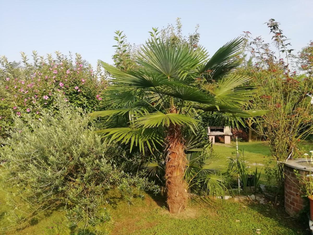 Un Bell Incontro Apartment Borgo Ticino Bagian luar foto