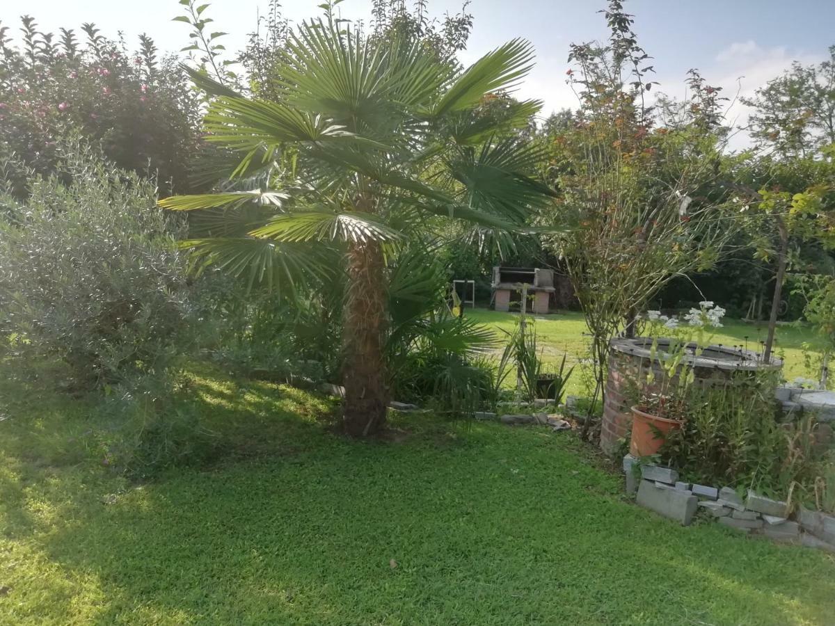 Un Bell Incontro Apartment Borgo Ticino Bagian luar foto