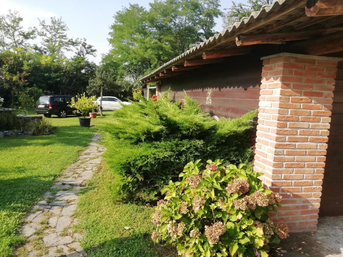 Un Bell Incontro Apartment Borgo Ticino Bagian luar foto